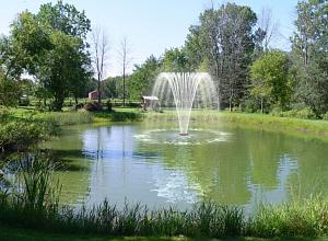 Willow 2 ½", 50 x 4 мм